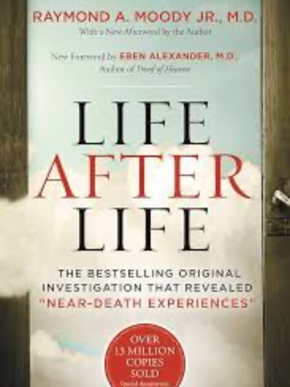 LIFE AFTER LIFE paperback